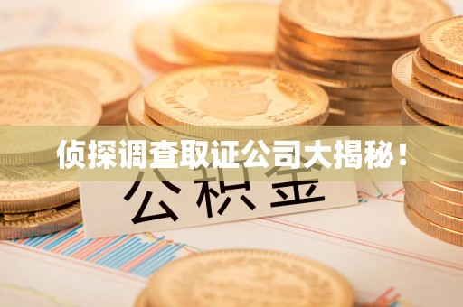 重庆侦探调查取证公司大揭秘！