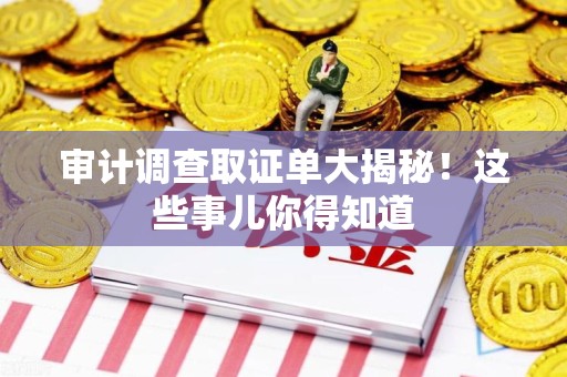 重庆审计调查取证单大揭秘！这些事儿你得知道