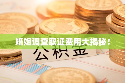 重庆婚姻调查取证费用大揭秘！