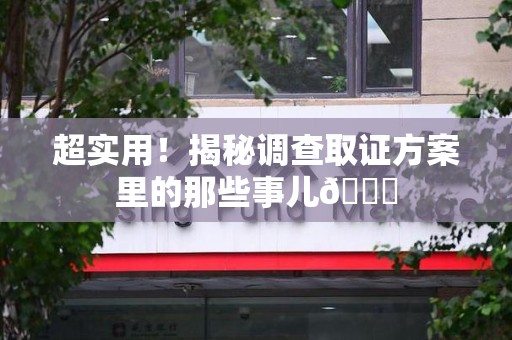 重庆超实用！揭秘调查取证方案里的那些事儿😎