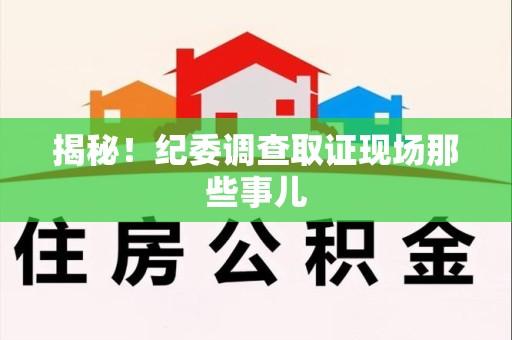 重庆揭秘！纪委调查取证现场那些事儿