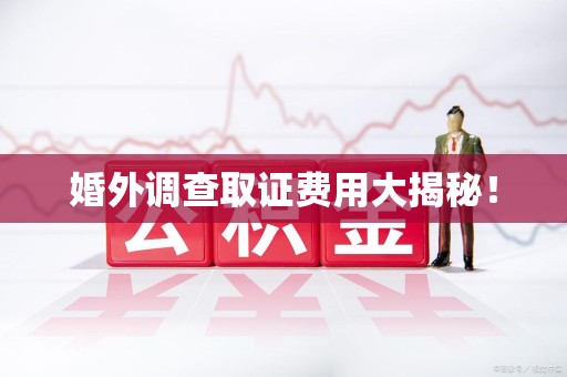 重庆婚外调查取证费用大揭秘！