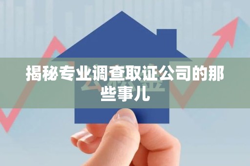 重庆揭秘专业调查取证公司的那些事儿