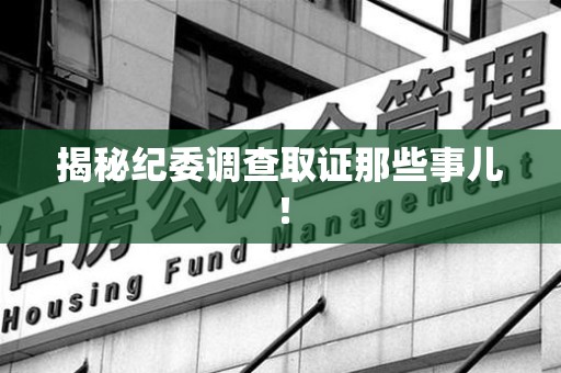 重庆揭秘纪委调查取证那些事儿！