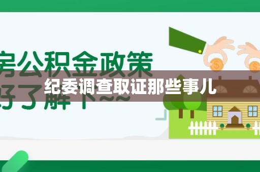 重庆纪委调查取证那些事儿