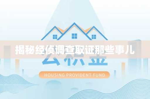 重庆揭秘经侦调查取证那些事儿