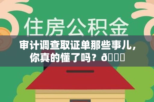 重庆审计调查取证单那些事儿，你真的懂了吗？😎